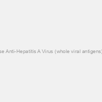 Mouse Anti-Hepatitis A Virus (whole viral antigens) IgG